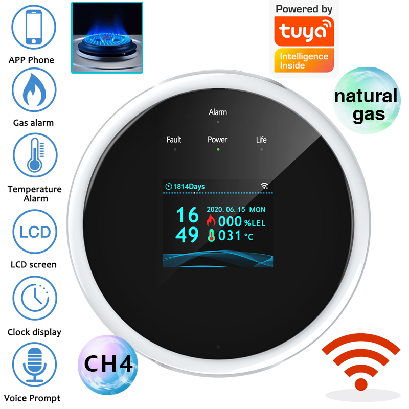 Home Security Upgrades - 2.4G WiFi Gas Alarm Sensor Combustible