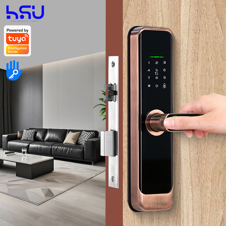Digital Smart Doorlock Passcod - đánh giá và giá Home Security Locks For Doors